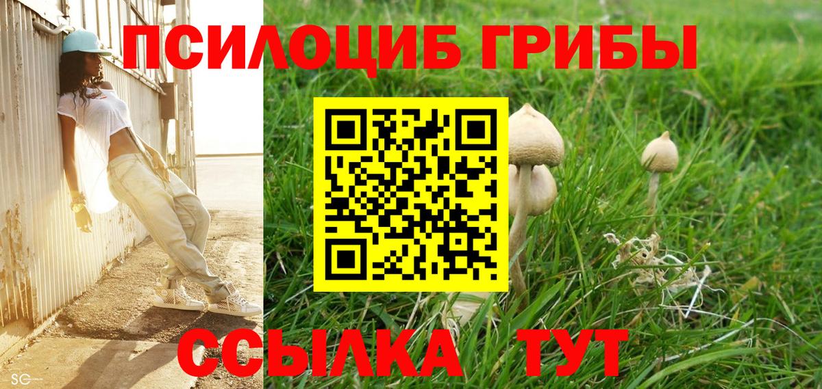 Учалы  Галлюциногенные грибы Psilocybe  Вход с VPN 