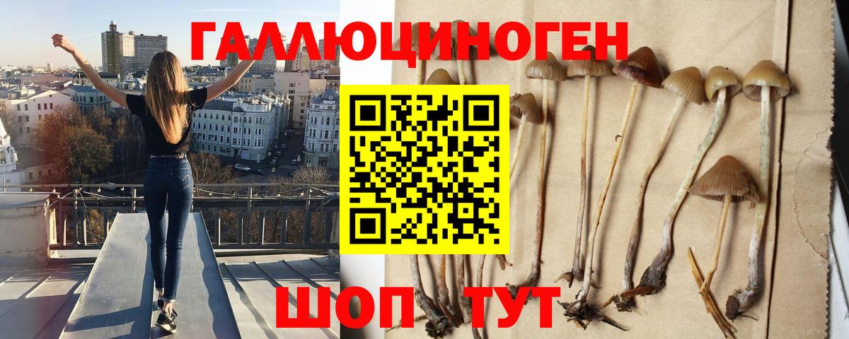 Галлюциногенные грибы мицелий Учалы